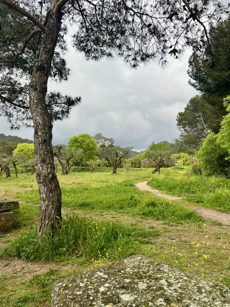 A narrow dirt path winding through a green landscape with trees and distant hills in St. Rémy, France.